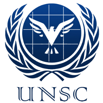 united nations security council